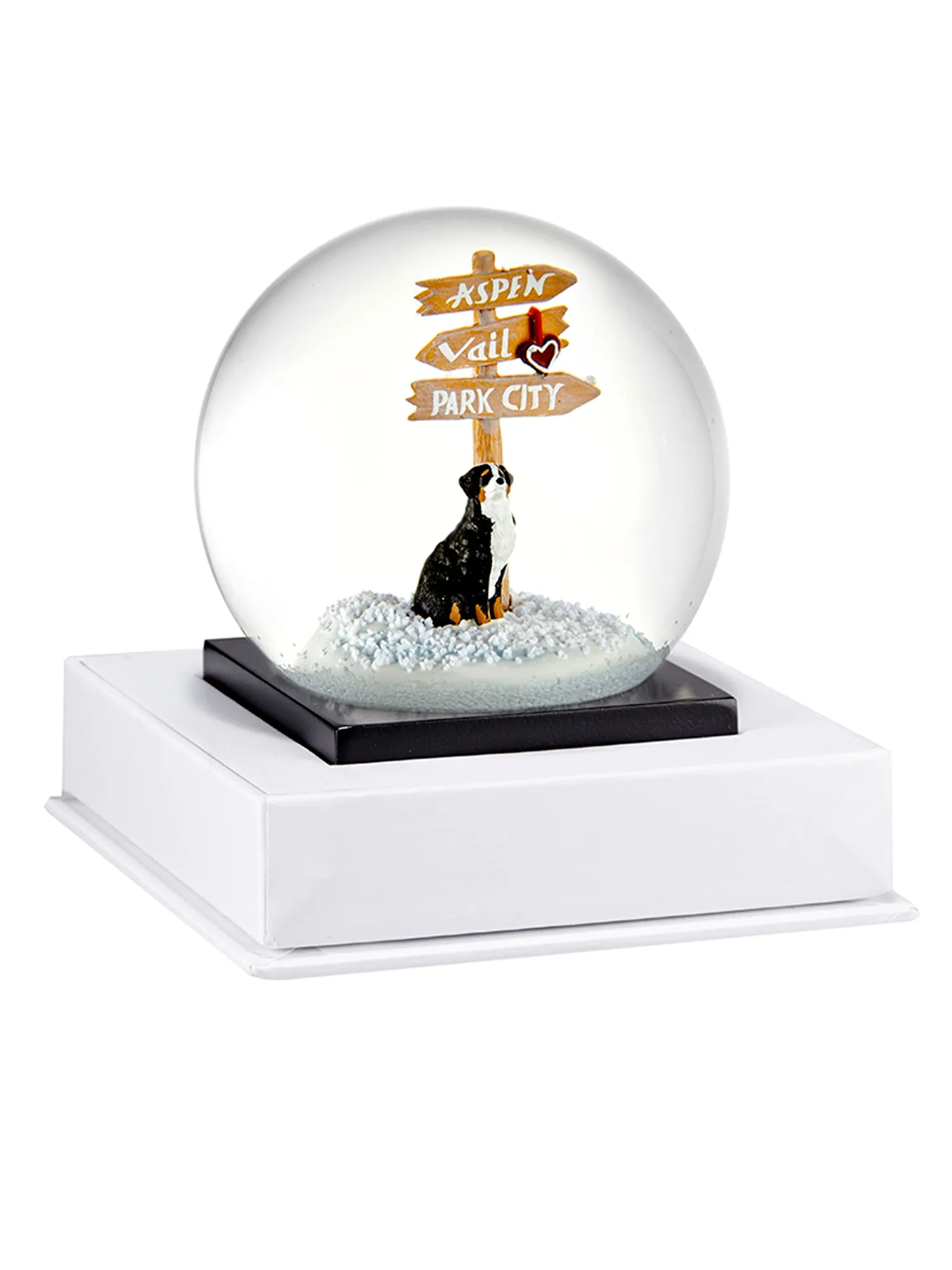 Bernese Mountain Dog Snow Globe