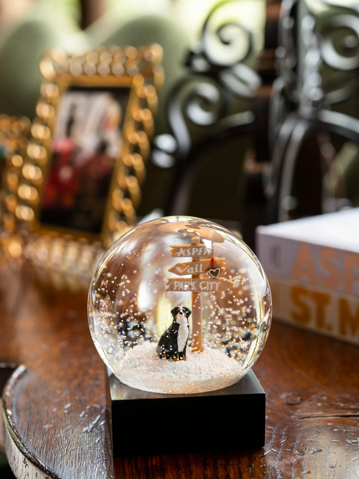 Bernese Mountain Dog Snow Globe