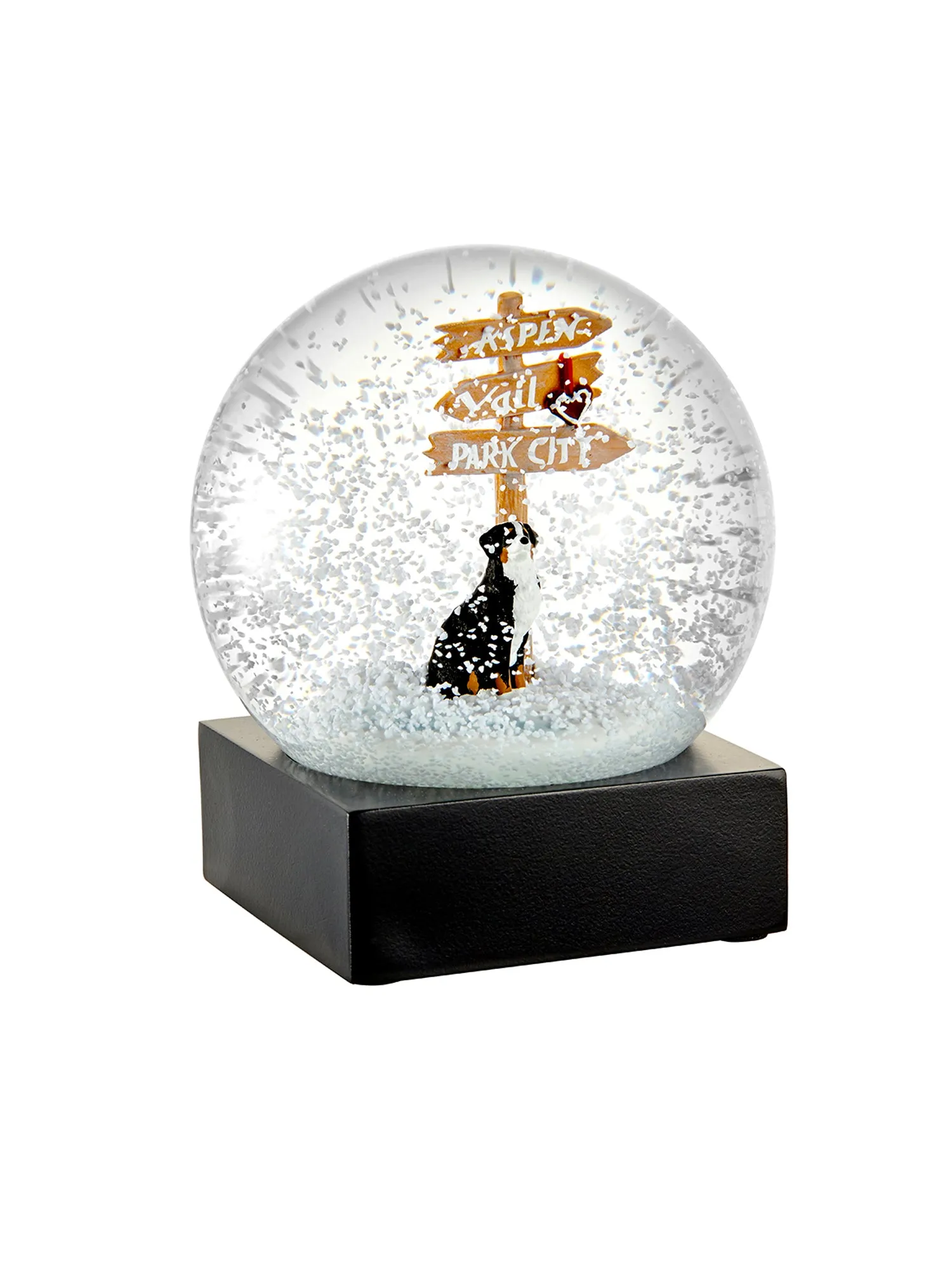 Bernese Mountain Dog Snow Globe