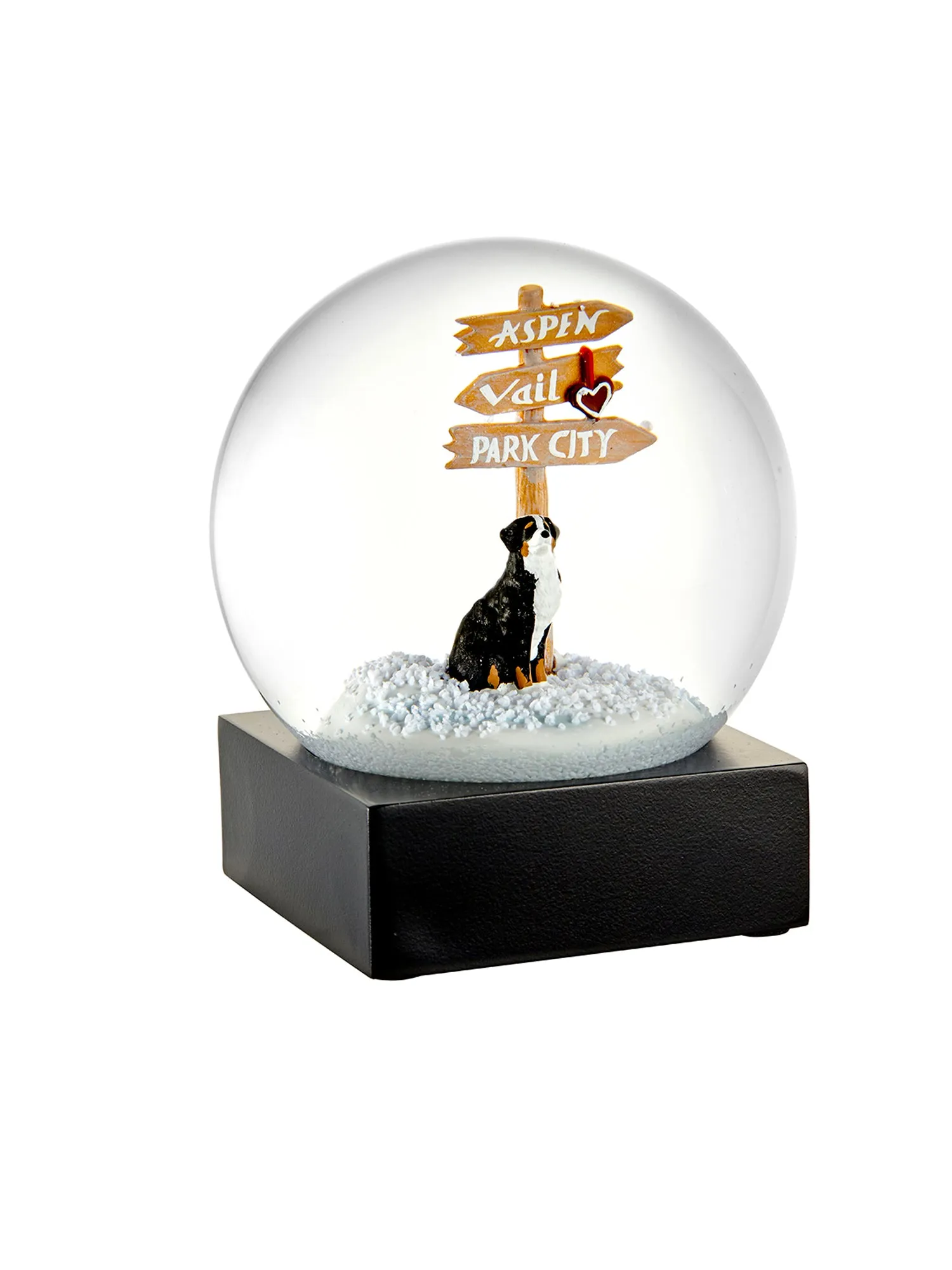 Bernese Mountain Dog Snow Globe