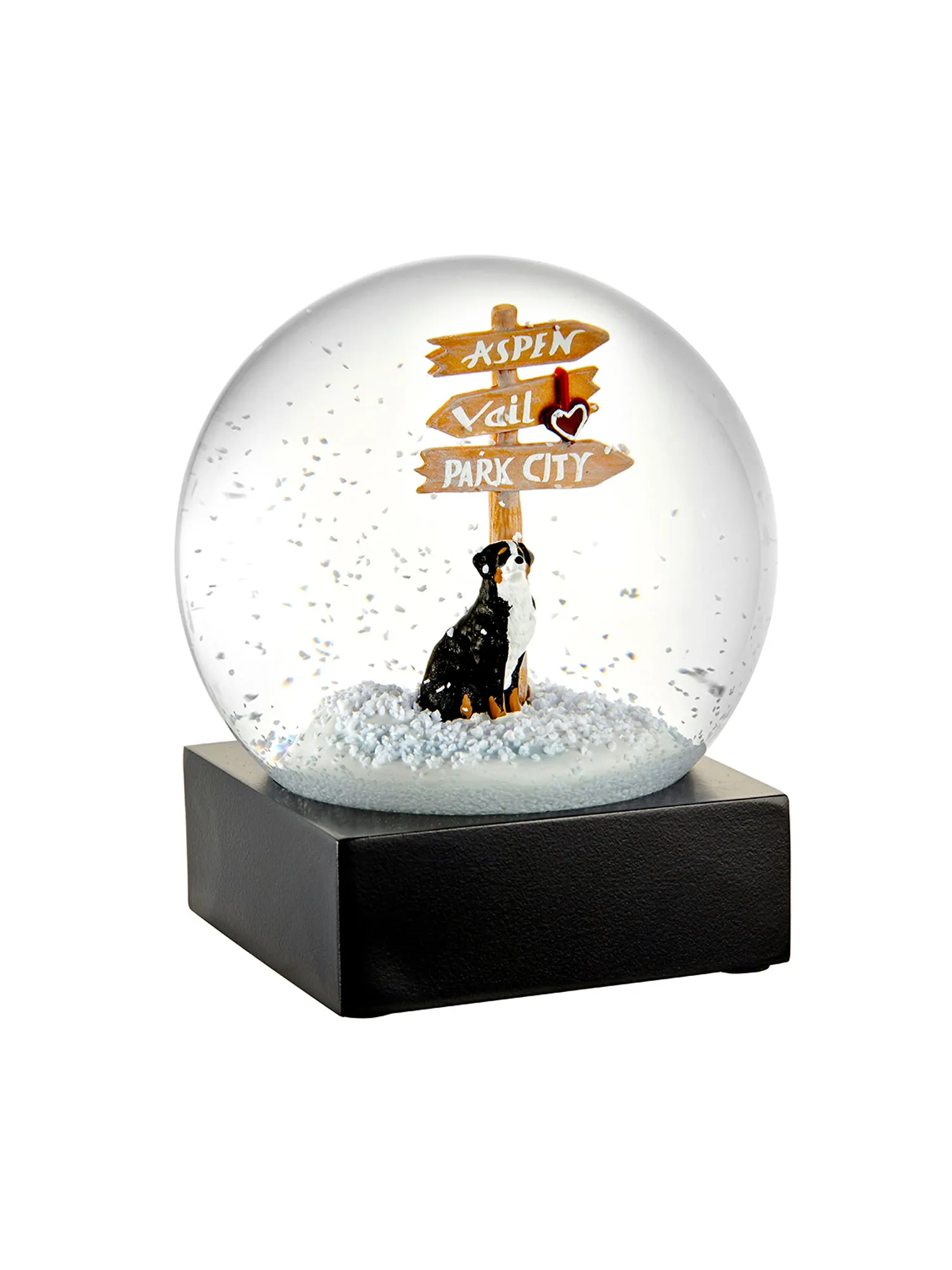 Bernese Mountain Dog Snow Globe