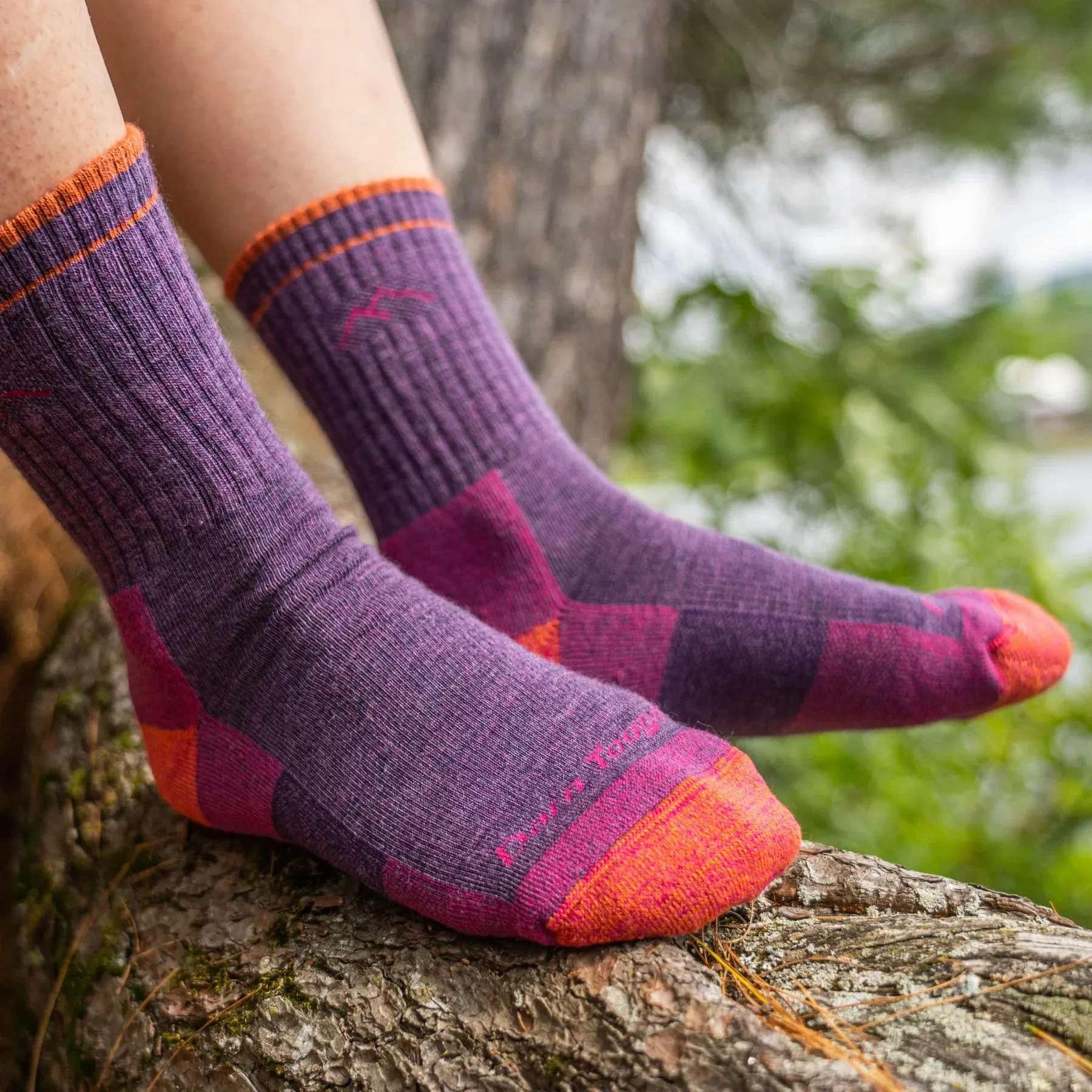 Darn Tough 1903 Women's Hiker Micro Crew Midweight Hiking Sock - Plum Health