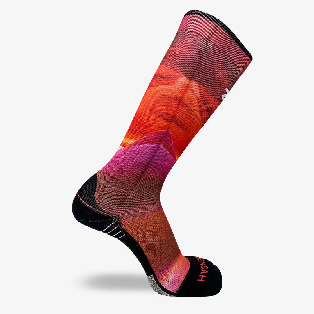 Nature Canyon Compression Socks (Knee-High)